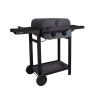 Barbecue électrique - COOK IN GARDEN - Flavo - 100% grille - Fonte é
