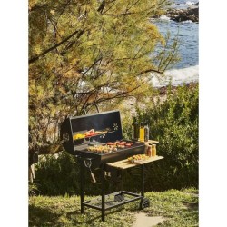 COOKING BOX Barbecue a charbon MIKE - 115x66x106 cm - 2 grilles acier
