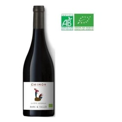 La côte infernale Chinon - Vin rouge de Loire Bio 2022