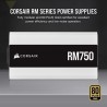 CORSAIR Bloc d'alimentation RM Series RM750 - 750W - 80 PLUS Gold - Bl