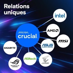 Mémoire RAM - CRUCIAL - DDR5 PRO - Kit 48 Go (2 x 24 Go) - 5600 M