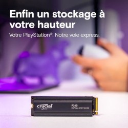 CRUCIAL - P310 - SSD interne - 4 To - PCIe Gen4 NVMe M.2 - Avec d