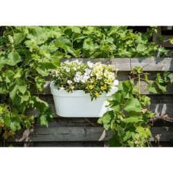 Jardiniere+crochet - GARDEN ID Star - Blanc 50 x 21 cm - Fixation faci
