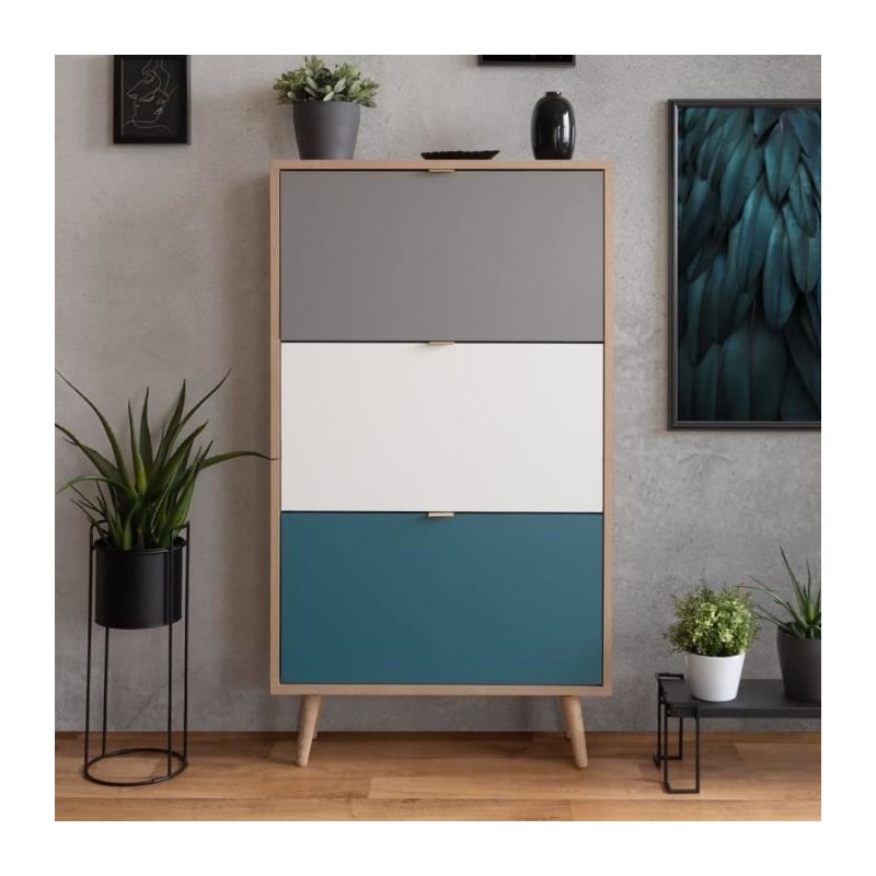 Finori Armoire a chaussures C-uba 42 Chene Sonoma et tricolore Finori Armoire a chaussures C-uba 42 Chene Sonoma et tricolore
