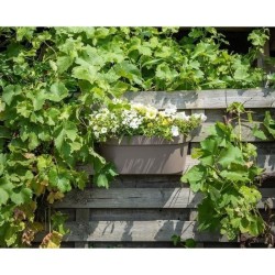 Jardiniere+crochet - GARDEN ID Star - Taupe 50 x 21 cm - Fixation faci