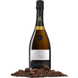 Champagne Paul Louis Martin Cuvée Line millésimé 2019 - Parcelle La