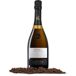 Champagne Paul Louis Martin Cuvée Martin millésimé - 2019 - Parcell