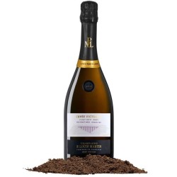 Champagne Paul Louis Martin Cuvée Victorine Brut millésimé - 2019 -