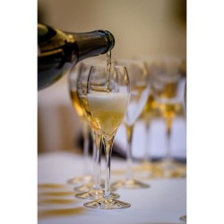 Champagne Paul Louis Martin Cuvée Victorine Brut millésimé - 2019 -