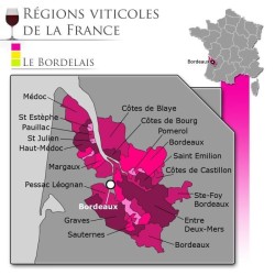 Croix de Beausejour 2007 Saint-Emilion Grand Cru - Vin rouge de Bordea