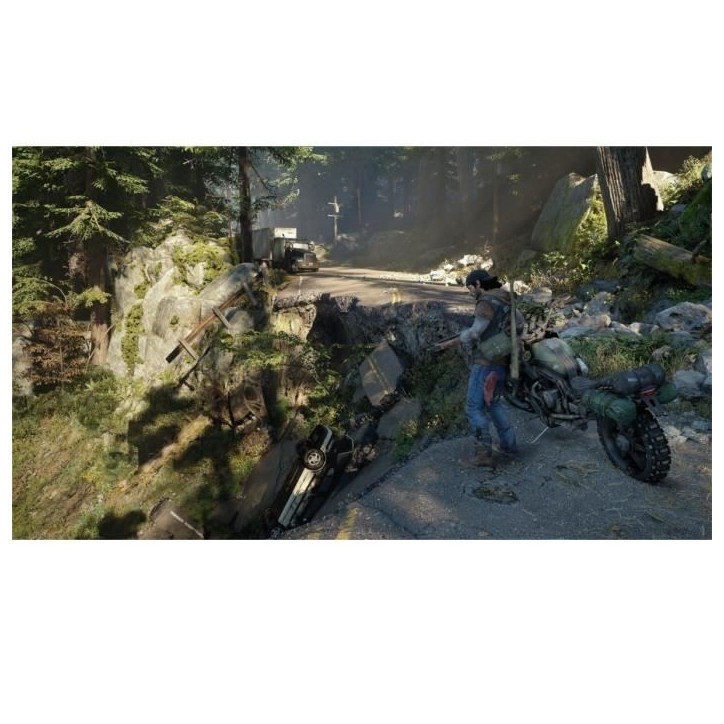 Jeu PS4 - Days Gone - Action - Blu-Ray - Sony Bend - En boîte Jeu PS4 - Days Gone - Action - Blu-Ray - Sony Bend - En boîte