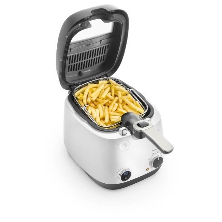 Friteuse - DELONGHI - FS6067 - 2,4 L - 1700 W - 41,5 x 29 x 26 cm - Gris / Noir