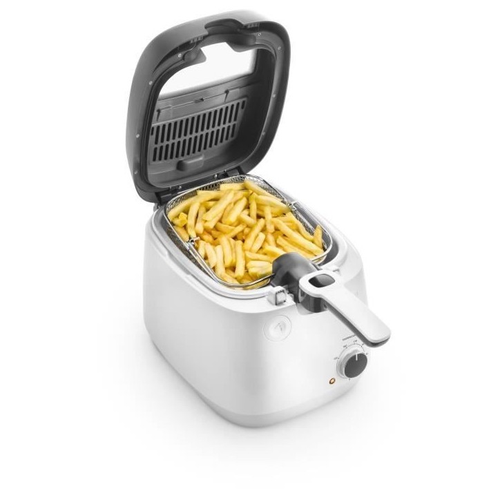 Friteuse - DELONGHI - FS6035 - 2,4 L - 1700 W - 41,5 x 29 x 26 cm - Gris Friteuse - DELONGHI - FS6035 - 2,4 L - 1700 W - 41,5 x 29 x 26 cm - Gris