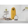 Bouilloire DELONGHI ICONA CAPITALS - 1,7L - Acier inoxydable - Base am