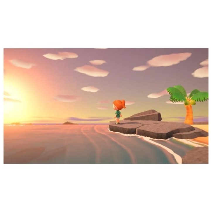 Animal Crossing: New Horizons • Jeu Nintendo Switch Animal Crossing: New Horizons • Jeu Nintendo Switch