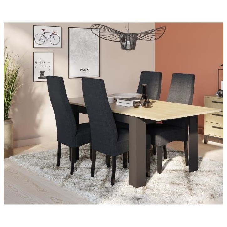 Table extensible - CRAFT - Rectangulaire - Décor mélamine chene hamilton et noir mat - 6 places - 160 / 200 x 90 cm - DEMEYERE Table extensible - CRAFT - Rectangulaire - Décor mélamine chene hamilton et noir mat - 6 places - 160 / 200 x 90 cm - DEMEYERE