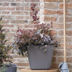 DEROMA Pot de fleurs carré Origin - 28 x 23,5 cm- 12 L - Gris