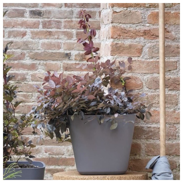DEROMA Pot de fleurs carré Origin - 28 x 23,5 cm- 12 L - Gris