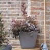 DEROMA Pot de fleurs carré Origin - 28 x 23,5 cm- 12 L - Gris