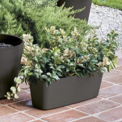 DEROMA Jardiniere Origin - 49,5x19 cm - 12 L - Anthracite