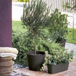 DEROMA Jardiniere Origin - 49,5x19 cm - 12 L - Grigio