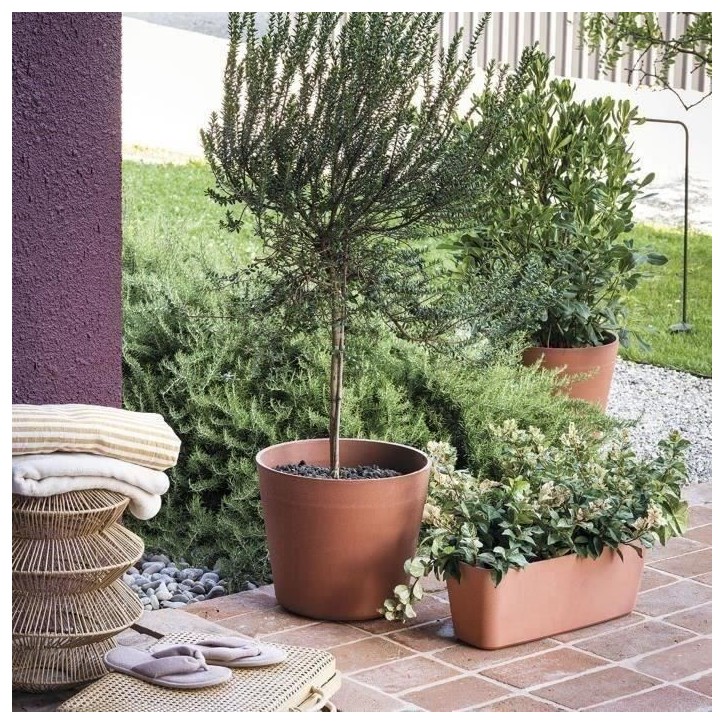 DEROMA Pot de fleurs Origin - 37,2 x 31,8 cm - 22,3 L - Terre cuite DEROMA Pot de fleurs Origin - 37,2 x 31,8 cm - 22,3 L - Terre cuite