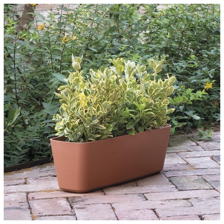 DEROMA Jardiniere Origin - 49,1xh17,8 cm - 11,6 L - Terre cuite