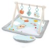 DISNEY BABY -WINNIE- Tapis de sol éveil bébé évolutif, arche en bo