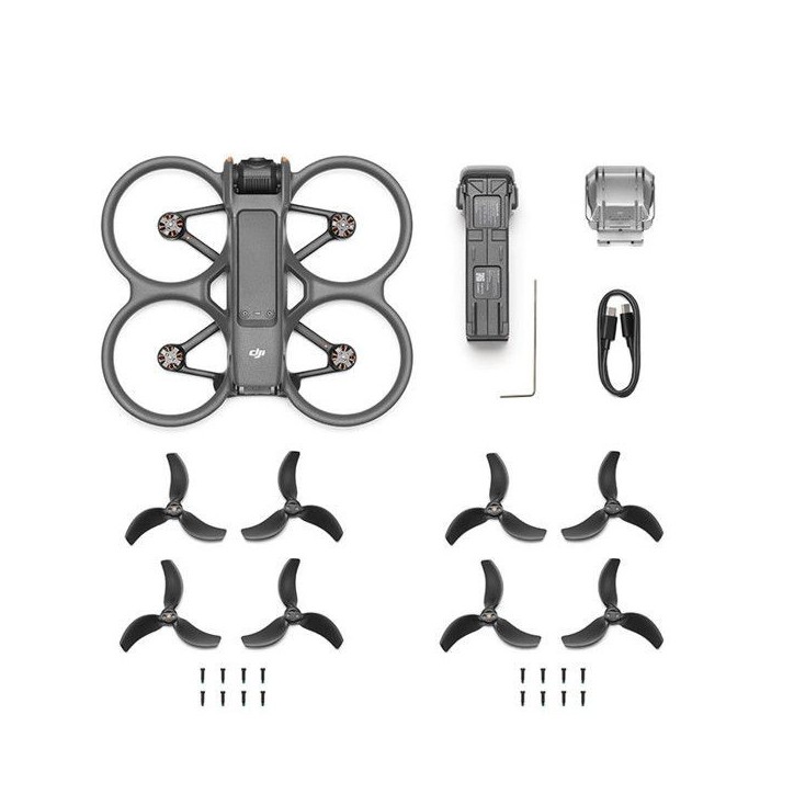 DJI Avata 2 - Drone seul DJI Avata 2 - Drone seul