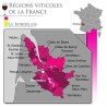 Les Demoiselles de Larrivet Haut Brion 2019 Pessac Léognan - Vin roug