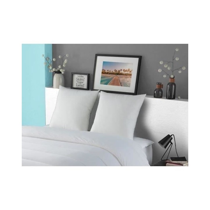 DODO Oreiller LUXOR 60x60 cm - 100% Coton - Effet Duvet DODO Oreiller LUXOR 60x60 cm - 100% Coton - Effet Duvet