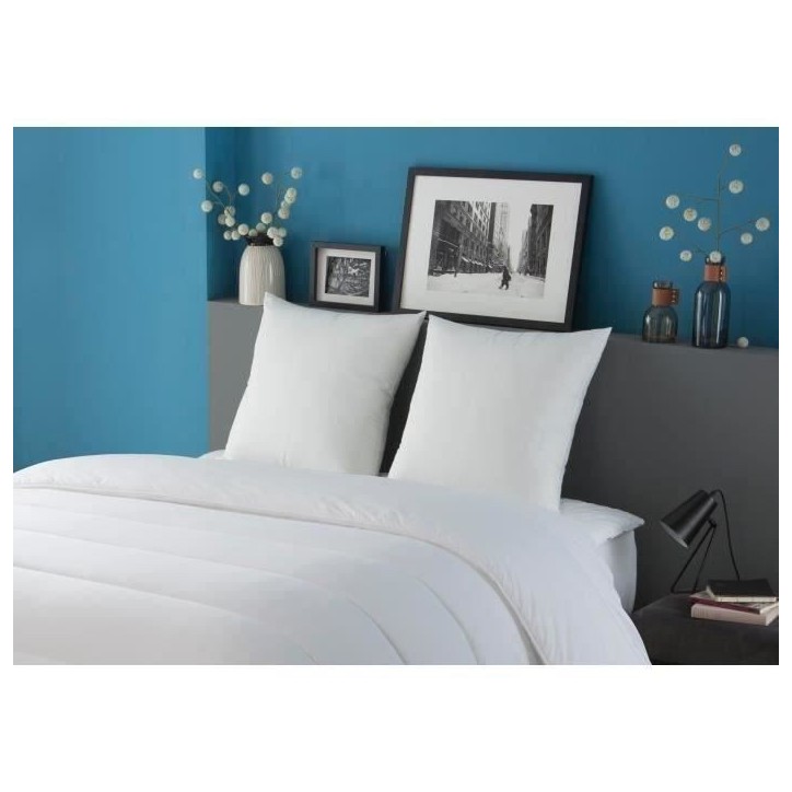 DODO Lot de 2 oreillers Tendance - 60 x 60 cm - Garnissage 100% Polyester fibre creuse siliconée - Blanc