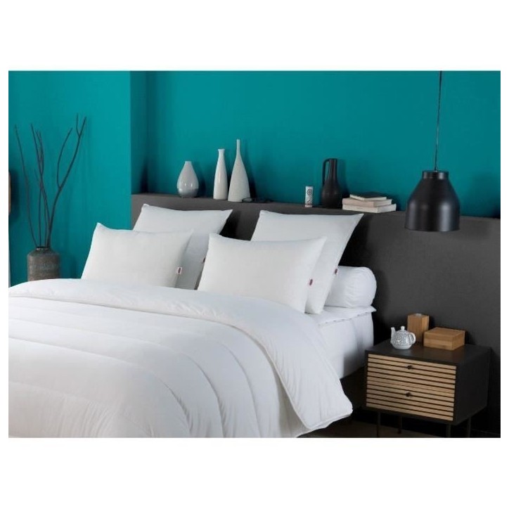 DODO Lot de 2 oreillers Tendance 50x70 cm- 100% Polyester DODO Lot de 2 oreillers Tendance 50x70 cm- 100% Polyester