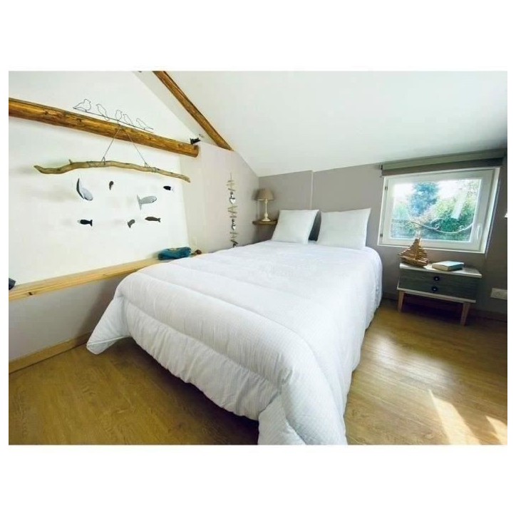 DODO Couette tempérée 300gr/m² 140x200 cm - Protection anti punaise, anti acarien - Blanc - Fabriqué en France DODO Couette tempérée 300gr/m² 140x200 cm - Protection anti punaise, anti acarien - Blanc - Fabriqué en France