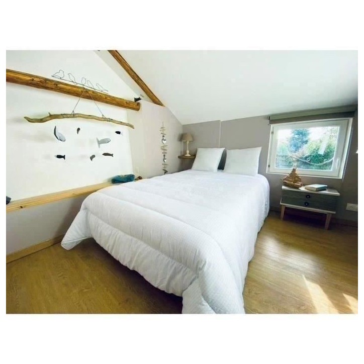 DODO Couette tempérée 300gr/m² 240x260 cm - Protection anti punaise, anti acarien - Blanc - Fabriqué en France DODO Couette tempérée 300gr/m² 240x260 cm - Protection anti punaise, anti acarien - Blanc - Fabriqué en France