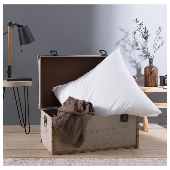 DODO Oreiller Grand luxe Quallofil Allerban - 60 x 60 cm - Blanc