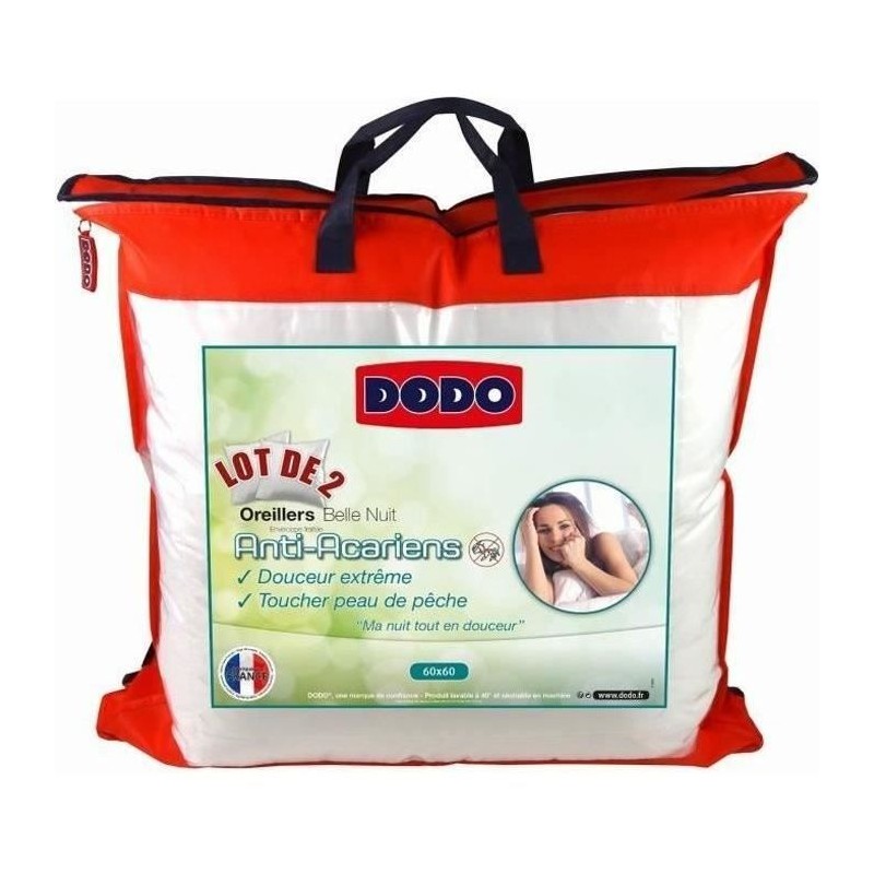 2 Oreillers Belle Nuit 60x60 2 Oreillers Belle Nuit 60x60