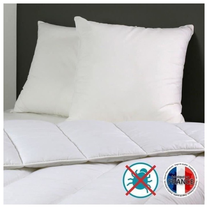 2 Oreillers Belle Nuit 60x60 2 Oreillers Belle Nuit 60x60
