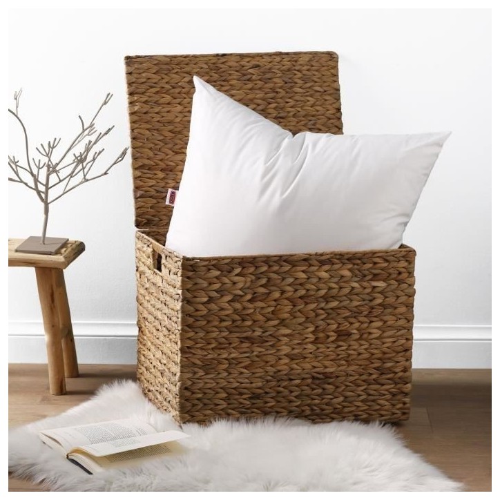 2 Oreillers Belle Nuit 60x60 2 Oreillers Belle Nuit 60x60