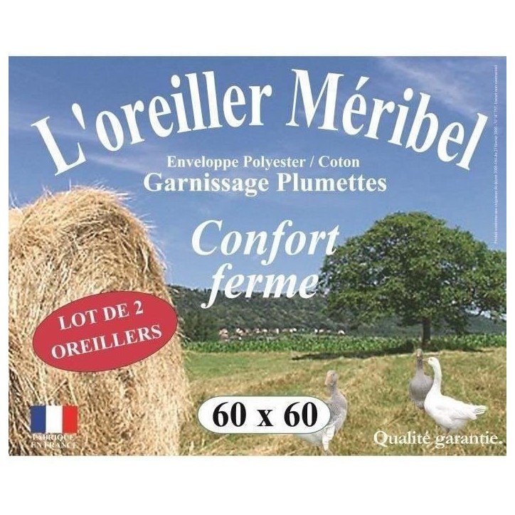 DODO Lot de 2 Oreillers MERIBEL Plumettes 60x60cm