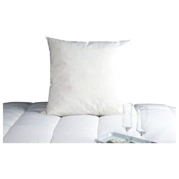 DODO Oreiller Duvet Oie MORZINE Anti-Acariens 65x65cm blanc
