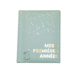Livre naissance - DOMIVA - Sauge Gold - 5 premieres années - 100 page