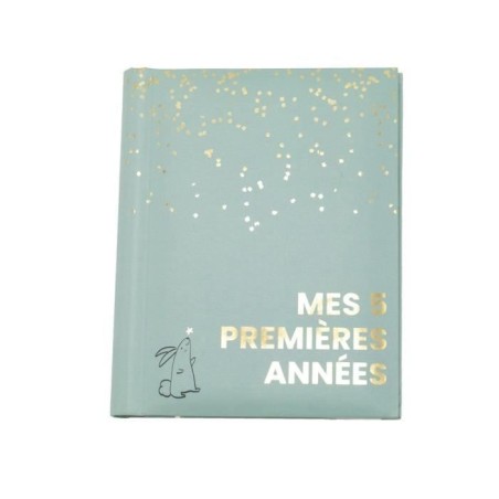Livre naissance - DOMIVA - Sauge Gold - 5 premieres années - 100 page
