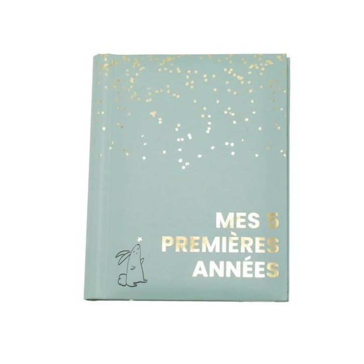Livre naissance - DOMIVA - Sauge Gold - 5 premieres années - 100 pages illustrées