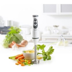 Ensemble Mixeur - DOMO - DO1089M - 600 W - Vitesse variable + Turbo -
