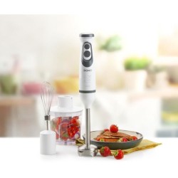 Ensemble Mixeur - DOMO - DO1089M - 600 W - Vitesse variable + Turbo -
