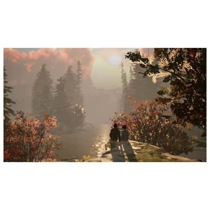 Life Is Strange 2 - Jeu Nintendo Switch - Code in a box