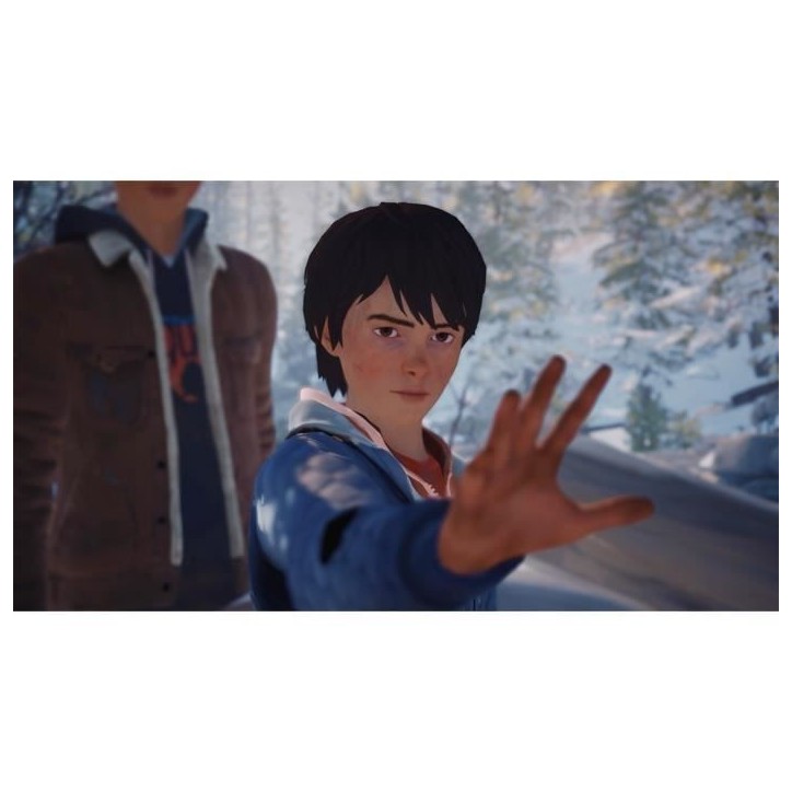 Life Is Strange 2 - Jeu Nintendo Switch - Code in a box