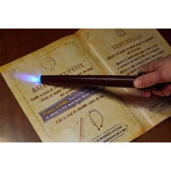 Fabulus Magix - Jeu de société - DUJARDIN - Manipulez la baguette ma