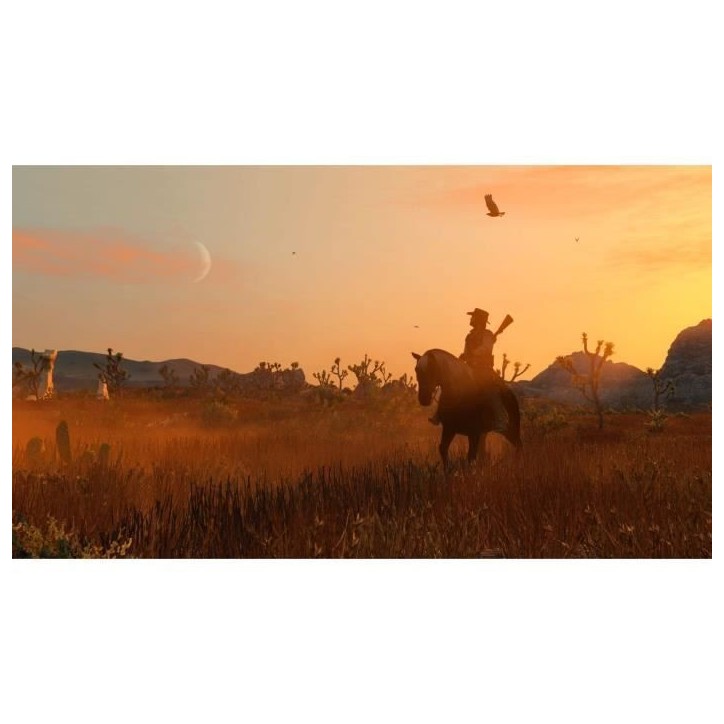 Red Dead Redemption - Jeu Nintendo Switch - Code in a box